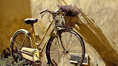 19 апреля отмечают День велосипеда